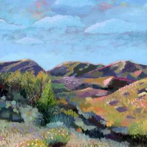 Arizona Desert Enjoyablock